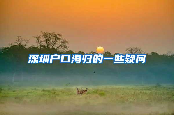 深圳户口海归的一些疑问