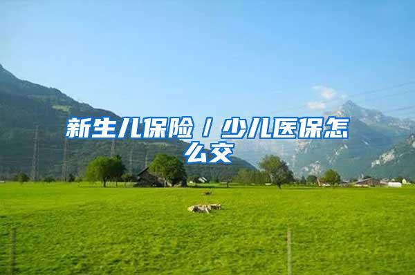 新生儿保险／少儿医保怎么交