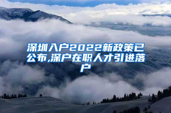 深圳入户2022新政策已公布,深户在职人才引进落户