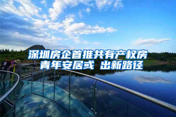 深圳房企首推共有产权房 青年安居或蹚出新路径