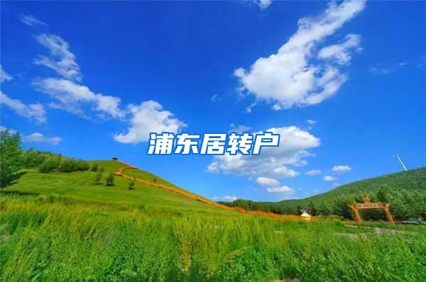 浦东居转户