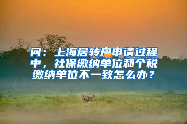问：上海居转户申请过程中，社保缴纳单位和个税缴纳单位不一致怎么办？