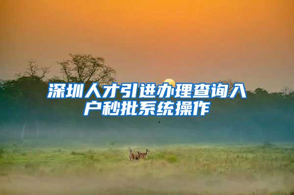 深圳人才引进办理查询入户秒批系统操作