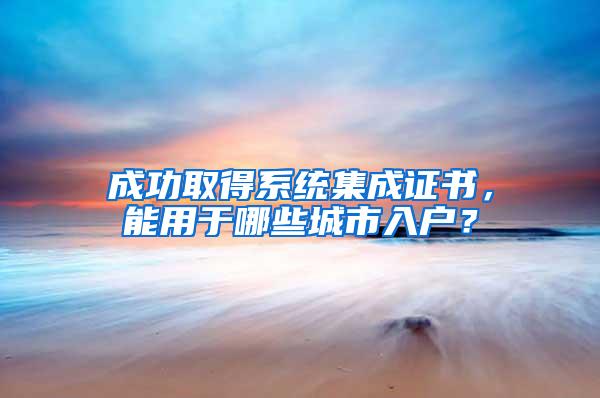 成功取得系统集成证书，能用于哪些城市入户？