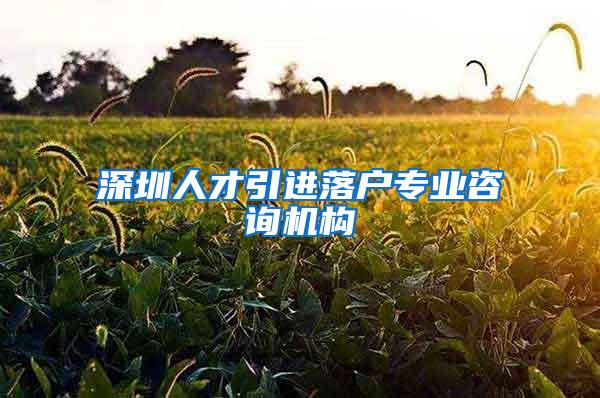 深圳人才引进落户专业咨询机构