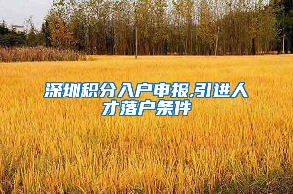 深圳积分入户申报,引进人才落户条件