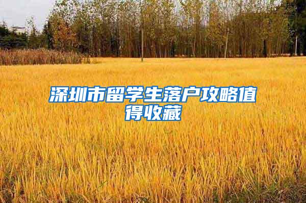 深圳市留学生落户攻略值得收藏