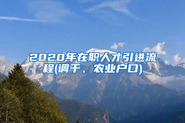 2020年在职人才引进流程(调干、农业户口)