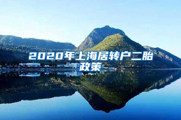 2020年上海居转户二胎政策