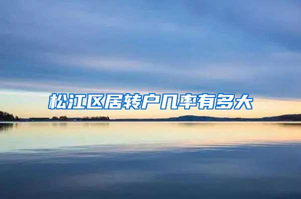松江区居转户几率有多大