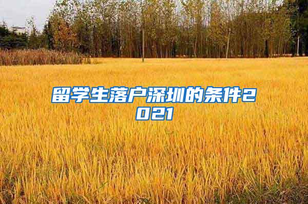 留学生落户深圳的条件2021