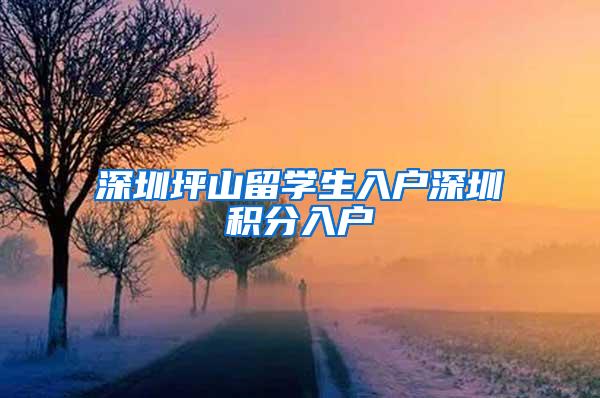 深圳坪山留学生入户深圳积分入户