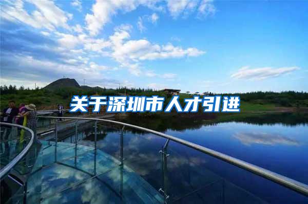 关于深圳市人才引进