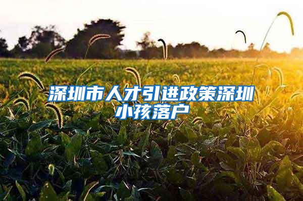 深圳市人才引进政策深圳小孩落户