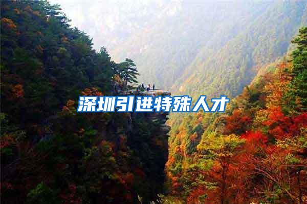深圳引进特殊人才