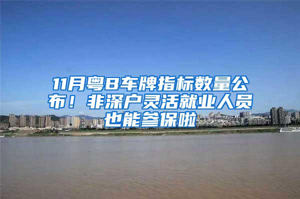 11月粤B车牌指标数量公布！非深户灵活就业人员也能参保啦
