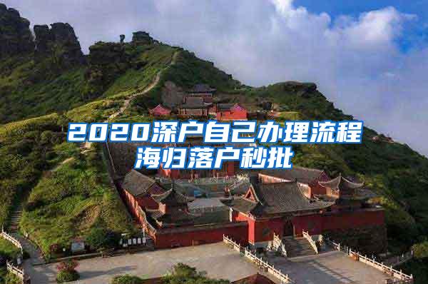 2020深户自己办理流程海归落户秒批