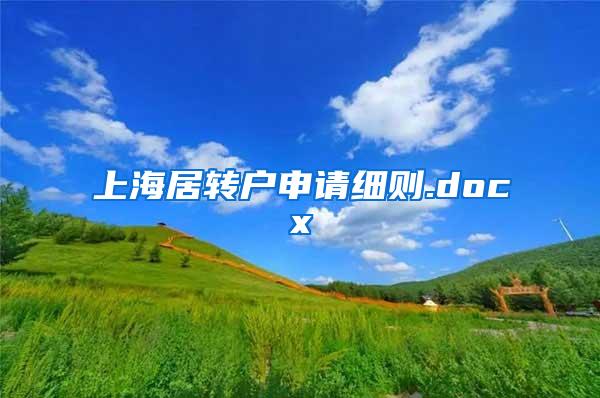 上海居转户申请细则.docx