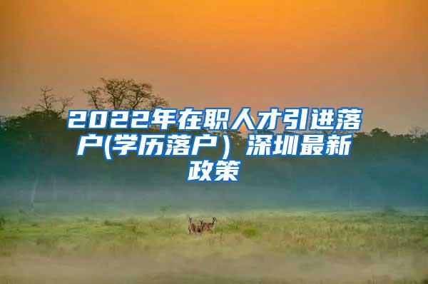 2022年在职人才引进落户(学历落户）深圳最新政策