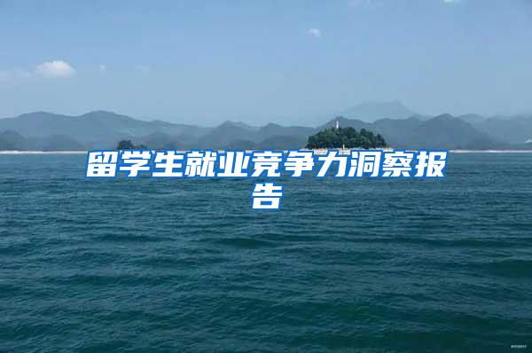 留学生就业竞争力洞察报告