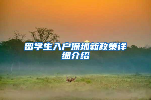 留学生入户深圳新政策详细介绍