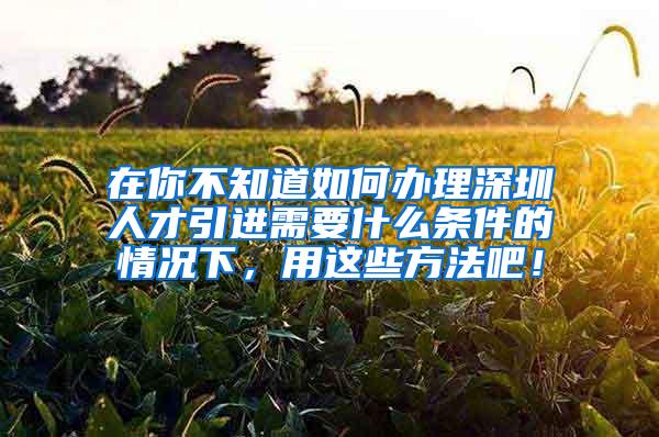 在你不知道如何办理深圳人才引进需要什么条件的情况下，用这些方法吧！