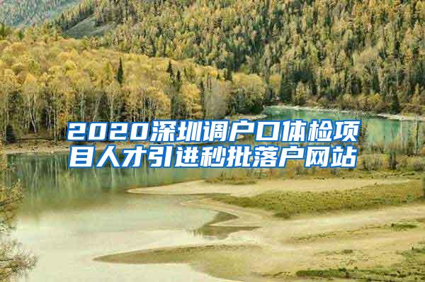 2020深圳调户口体检项目人才引进秒批落户网站