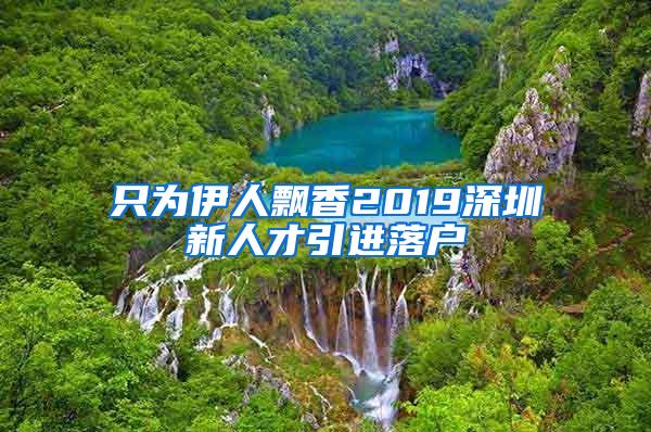只为伊人飘香2019深圳新人才引进落户
