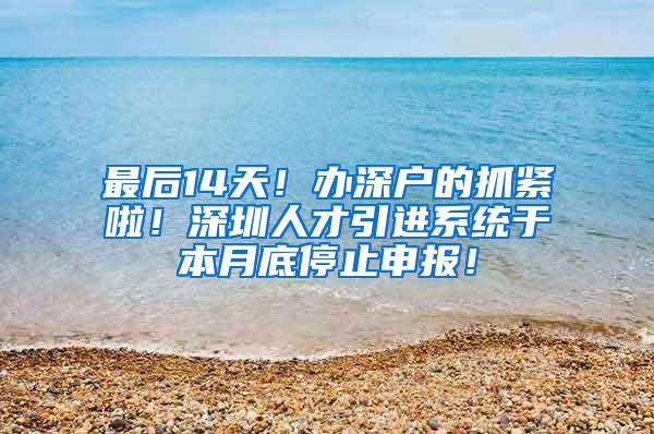 最后14天！办深户的抓紧啦！深圳人才引进系统于本月底停止申报！