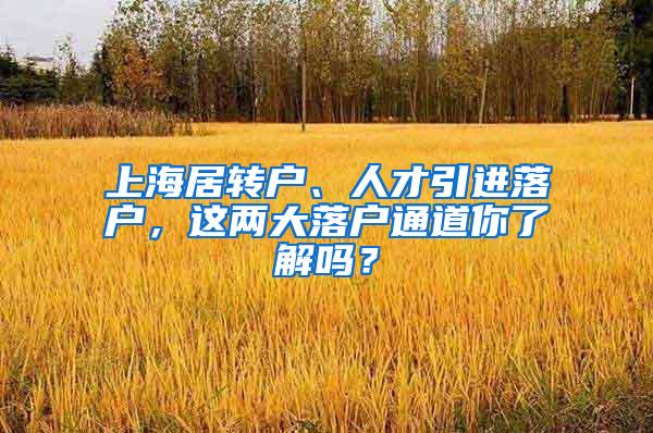 上海居转户、人才引进落户，这两大落户通道你了解吗？