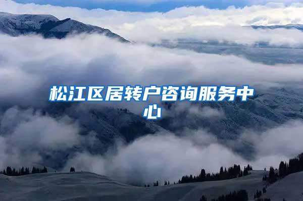松江区居转户咨询服务中心