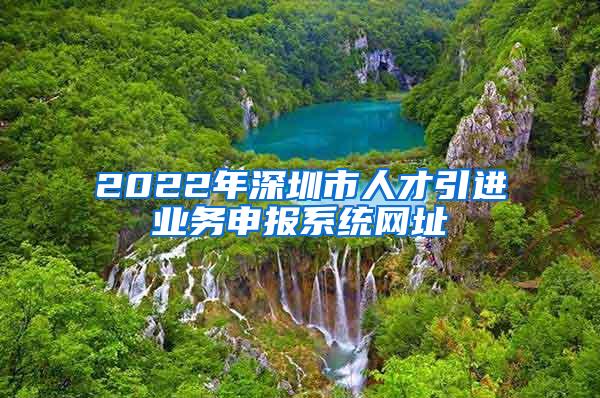 2022年深圳市人才引进业务申报系统网址