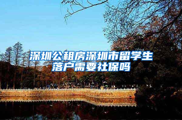 深圳公租房深圳市留学生落户需要社保吗