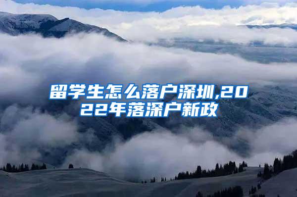 留学生怎么落户深圳,2022年落深户新政