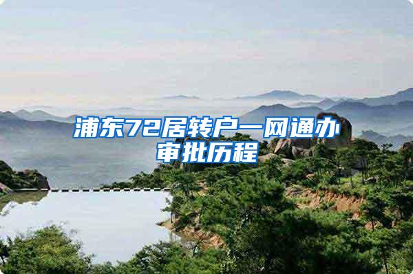 浦东72居转户一网通办审批历程