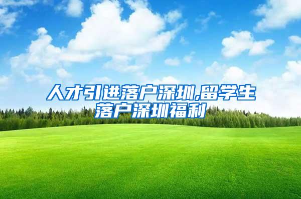 人才引进落户深圳,留学生落户深圳福利