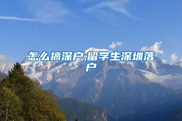 怎么搞深户,留学生深圳落户