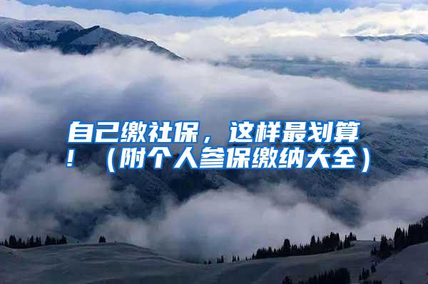 自己缴社保，这样最划算！（附个人参保缴纳大全）