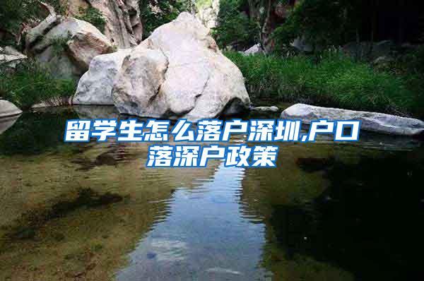 留学生怎么落户深圳,户口落深户政策