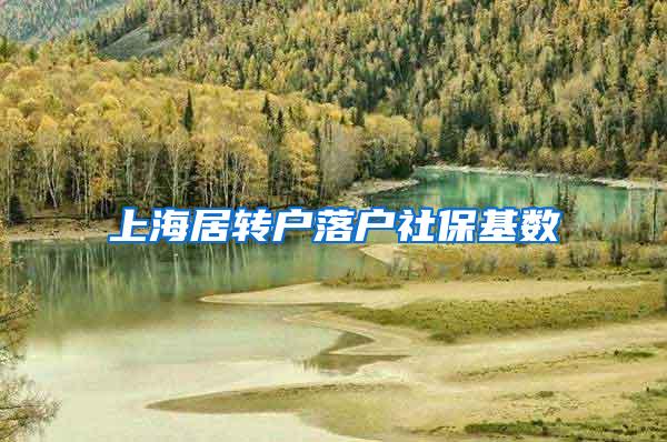 上海居转户落户社保基数