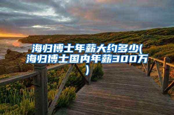 海归博士年薪大约多少(海归博士国内年薪300万)
