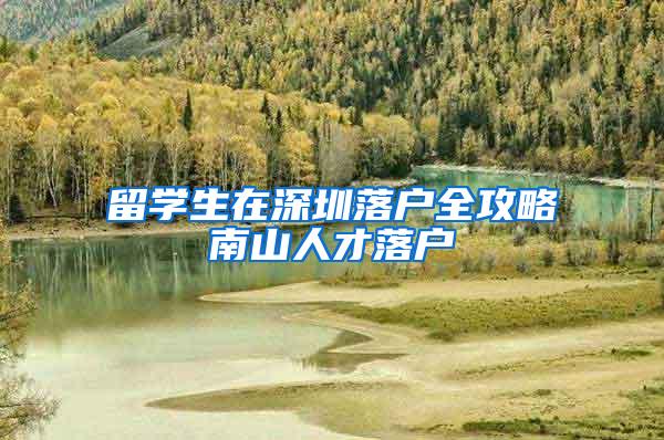 留学生在深圳落户全攻略南山人才落户