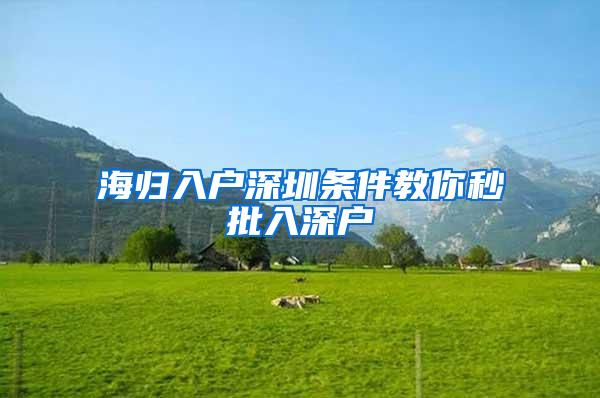 海归入户深圳条件教你秒批入深户