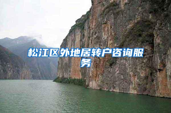 松江区外地居转户咨询服务
