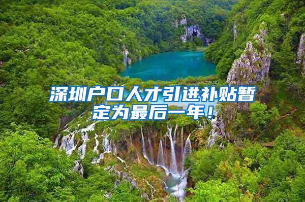 深圳户口人才引进补贴暂定为最后一年！