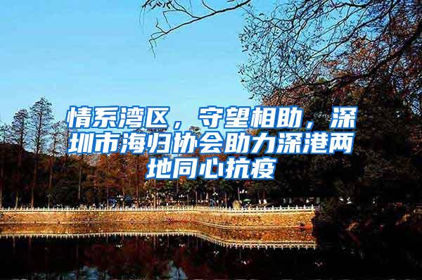 情系湾区，守望相助，深圳市海归协会助力深港两地同心抗疫