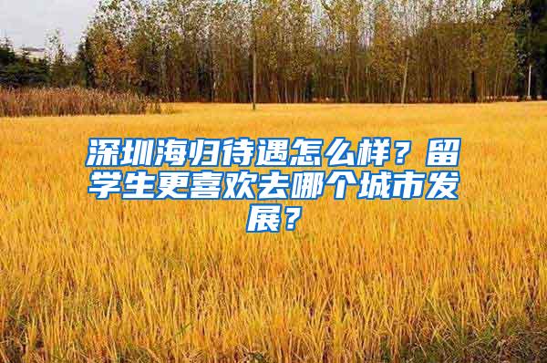深圳海归待遇怎么样？留学生更喜欢去哪个城市发展？