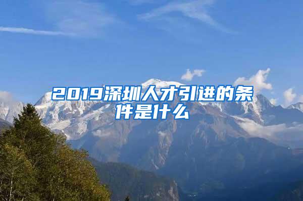 2019深圳人才引进的条件是什么