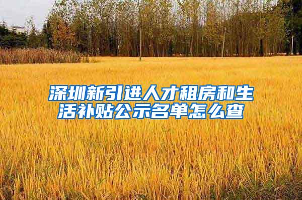 深圳新引进人才租房和生活补贴公示名单怎么查
