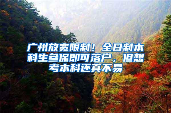 广州放宽限制！全日制本科生参保即可落户，但想考本科还真不易
